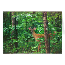 "Fellowship on the path"