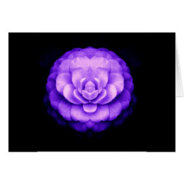 "Fellowship on the path"