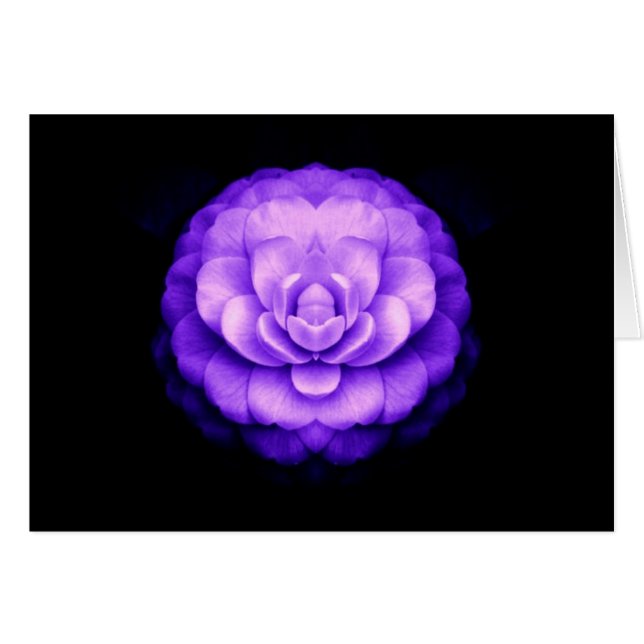 "Fellowship on the path" (Voorkant Horizontaal)