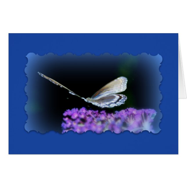 "Fellowship on the path" (Voorkant Horizontaal)