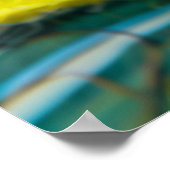 Felt Green Frog op Lily Pads in Pond Poster (Hoek)