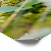 Felt Hedgehog met Apple in Daisy Patch Poster (Hoek)