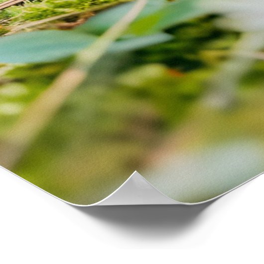 Felt Hedgehog met Apple in Daisy Patch Poster (Hoek)