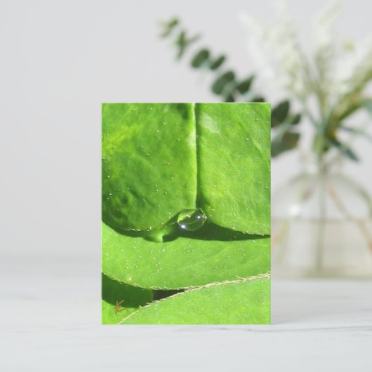 Female Belly, Green Clover Goddess Briefkaart (Staand voorkant)