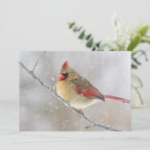 Female Cardinal in Snow Feestdagenkaart (Staand voorkant)