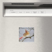 Female_Cardinal_Magnet Magneet (Insitu (Vaatwasser))