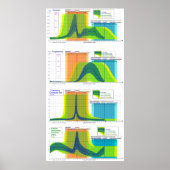 Female Hormone Ranges During the Menstrual Cycle Poster (Voorkant)