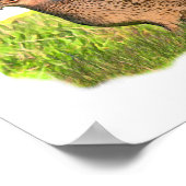 Female Pheasant in the grass Poster (Hoek)