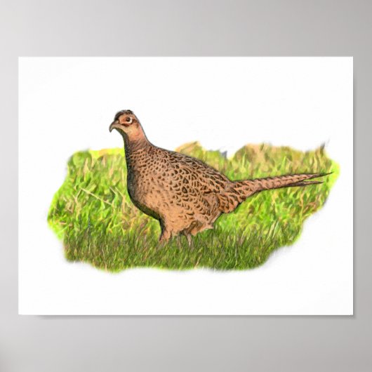 Female Pheasant in the grass Poster (Voorkant)