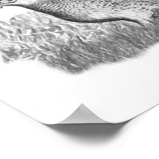 Female Pheasant Poster (Hoek)