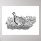 Female Pheasant Poster (Voorkant)