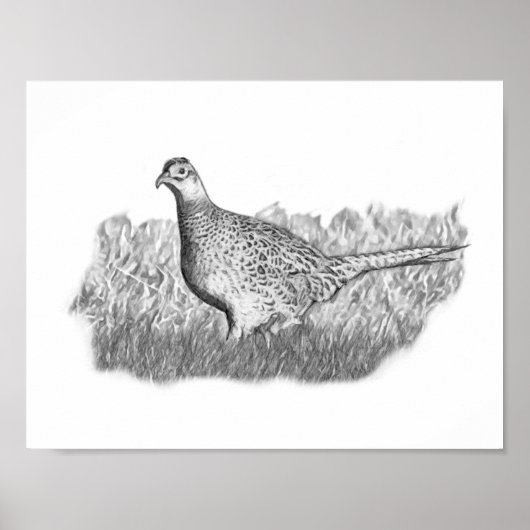 Female Pheasant Poster (Voorkant)