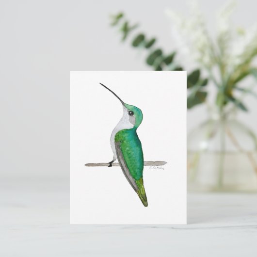 Female Ruby-throated Hummingbird Briefkaart (Staand voorkant)