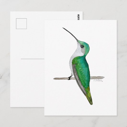 Female Ruby-throated Hummingbird Briefkaart (Voorkant / Achterkant)