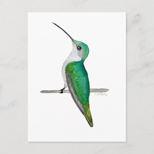 Female Ruby-throated Hummingbird Briefkaart (Voorkant)