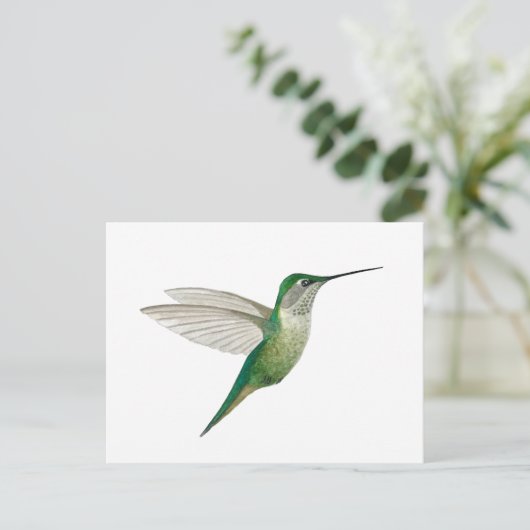 Female Ruby-throated Hummingbird Briefkaart (Staand voorkant)