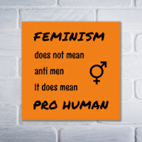Feminism pro human slogan orange