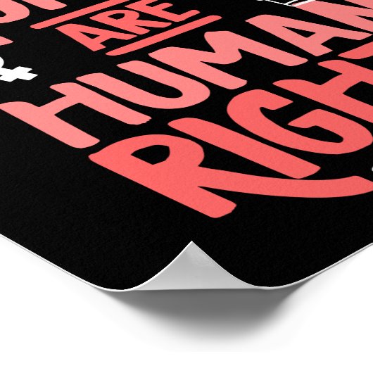 Feminist Women's Rights Are Human Rights Poster (Hoek)