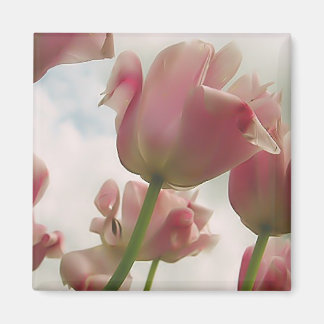 Feminititeit Magneet