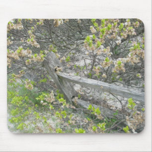 Fence Against Dunes IBSP Mousepad Muismat
