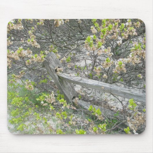 Fence Against Dunes IBSP Mousepad Muismat (Voorkant)