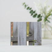 Fence Junco Briefkaart (Staand voorkant)