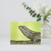 Fence Lizard Briefkaart. Briefkaart (Staand voorkant)