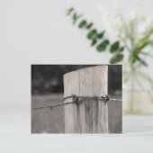 Fence Post en Barbed Wire Briefkaart (Staand voorkant)