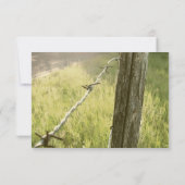 Fencepost, Barbed Wire Rustic rsvp met envelop (Achterkant)