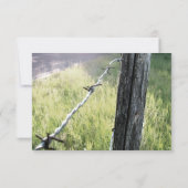 Fencepost, Barbed Wire Rustic rsvp met envelop Kaartje (Achterkant)