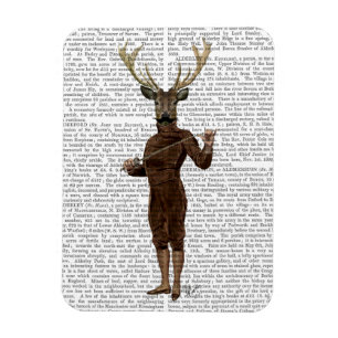 Fencing Deer volledig Magneet