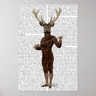 Fencing Deer volledig Poster