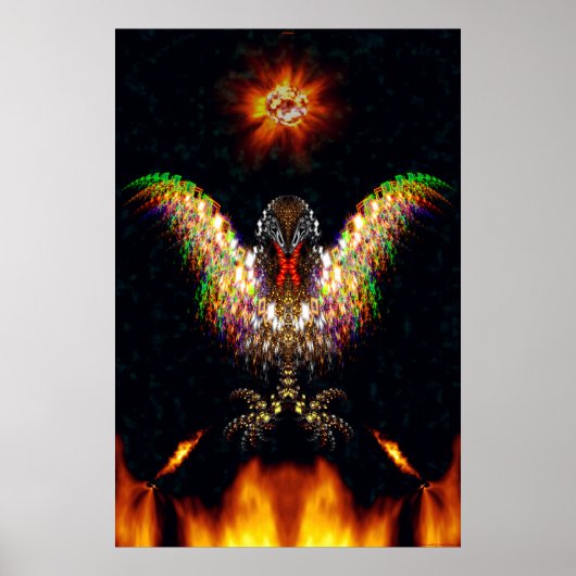 fenix poster (Voorkant)