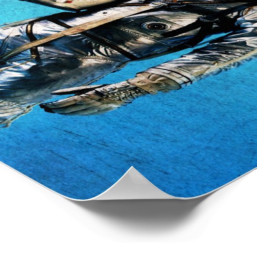 Fennec de kapitein poster (Hoek)