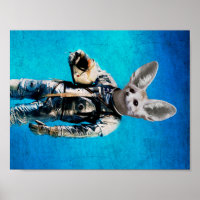 Fennec de kapitein