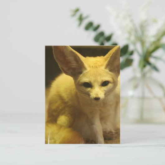 Fennec Fox Briefkaart (Staand voorkant)