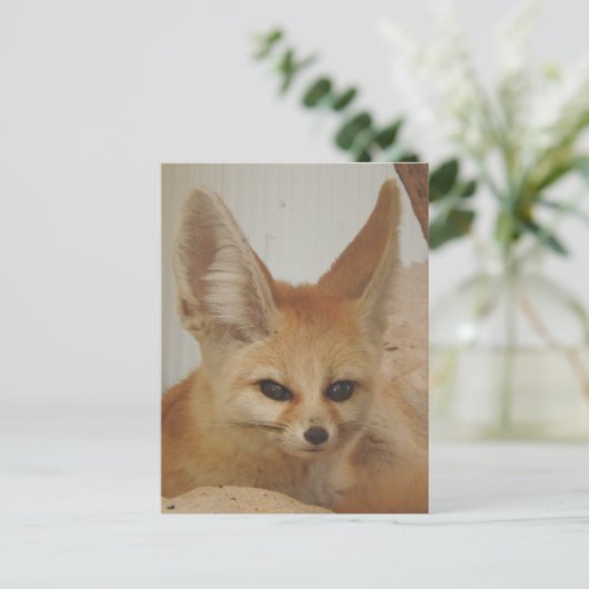 Fennec Fox Briefkaart (Staand voorkant)