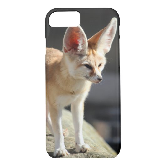 Fennec Fox Case-Mate iPhone Case (Achterkant)