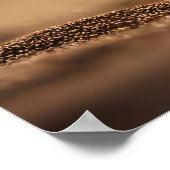 Fennec Fox gaat epische actie tegen wilde dieren a Poster (Hoek)