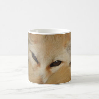 Fennec Fox Mok
