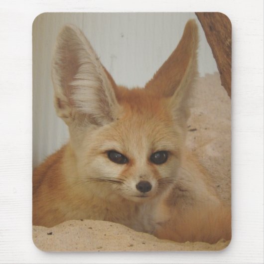 Fennec Fox Muismat (Voorkant)