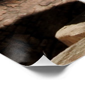 Fennec Fox Perfect Poster (Hoek)