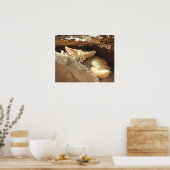 Fennec Fox Poster (Keuken)