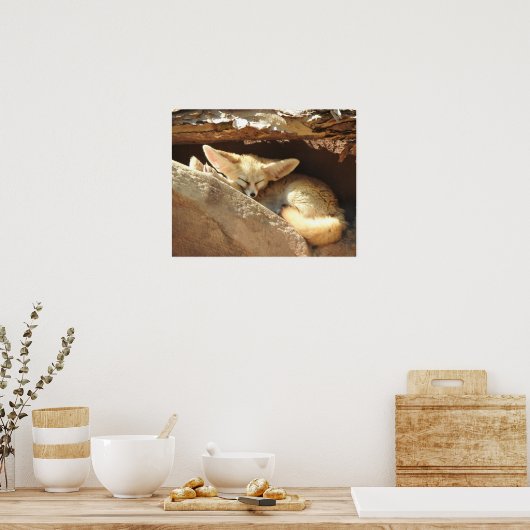 Fennec Fox Poster (Keuken)