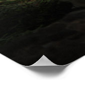 Fennec Fox Poster (Hoek)