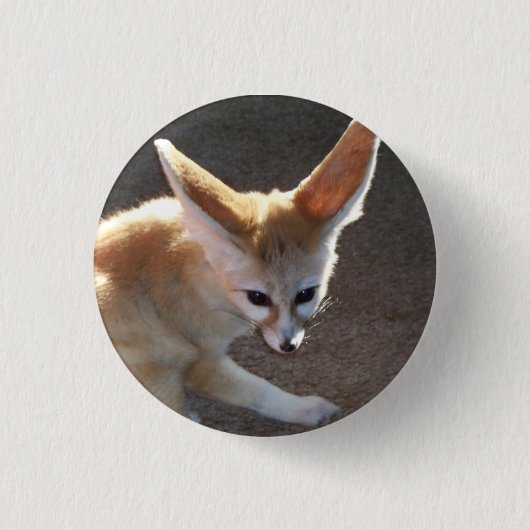 Fennec Fox Ronde Button 3,2 Cm (Voorkant)