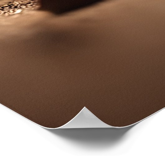 Fennec Fox Running Poster Dynamic Wildlife Art (Hoek)