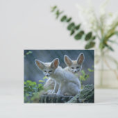 Fennec Foxes Briefkaart (Staand voorkant)