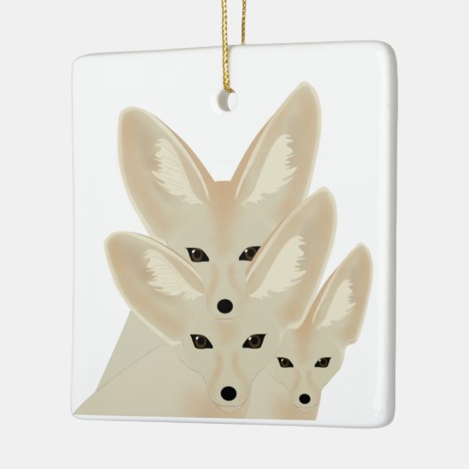 Fennec Foxes Ornament (Links)