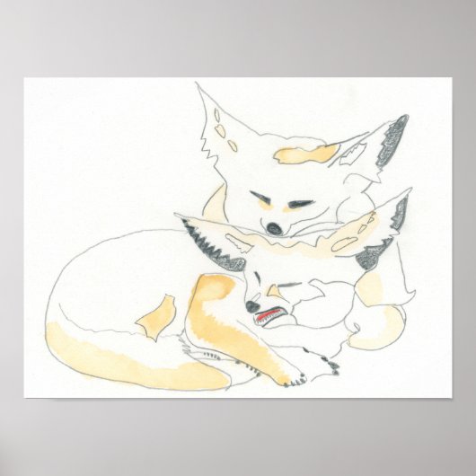 Fennec Foxes Poster (Voorkant)